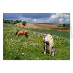 Chevaux