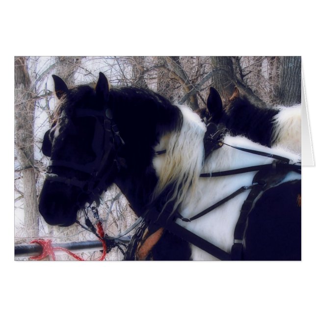 Chevaux à bascule Pinto (Devant horizontal)