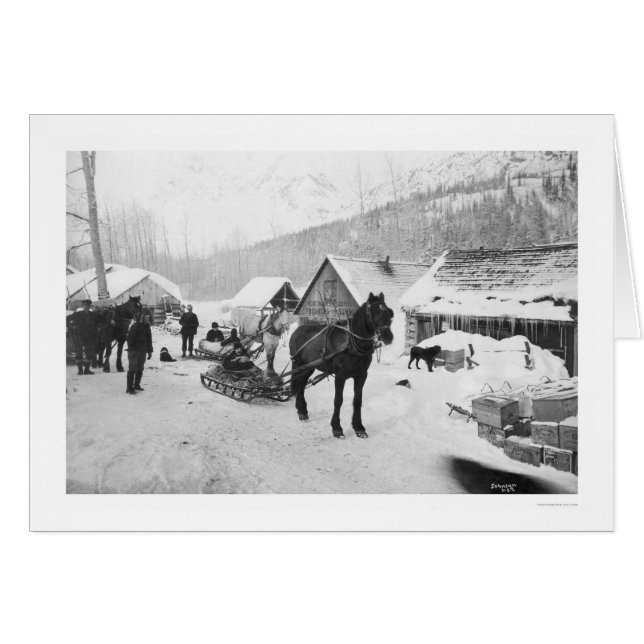 Chevaux Alaska 1912 de traînée de Valdez (Devant horizontal)