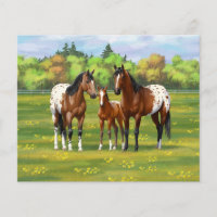 Chevaux Appaloosa De Baie Brown En Pâturage D'Été