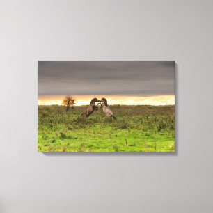 Chevaux cabrés sur toile