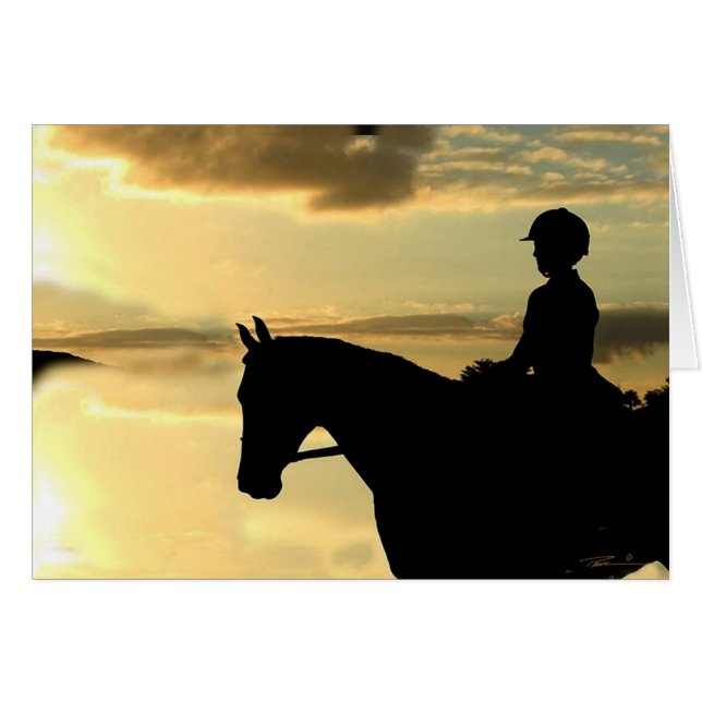 Chevaux - Chasseur-Jumper - Vue (Devant horizontal)