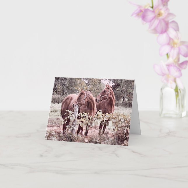 Chevaux côte à côte - Carte blanche (Orchidée)