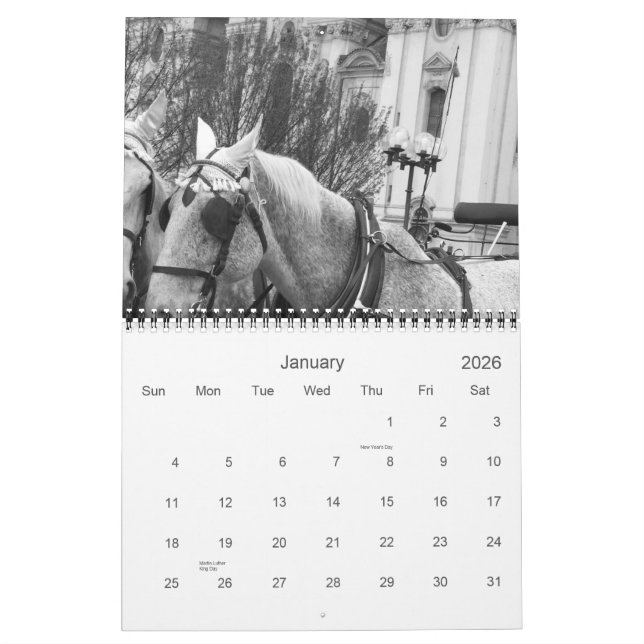 Chevaux dans grand le calendrier NOIR 2009 et (Jan 2026)