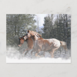 Chevaux dans la carte postale Noël de neige