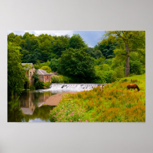 Chevaux dans le parc Pollok, Glasgow Affiche