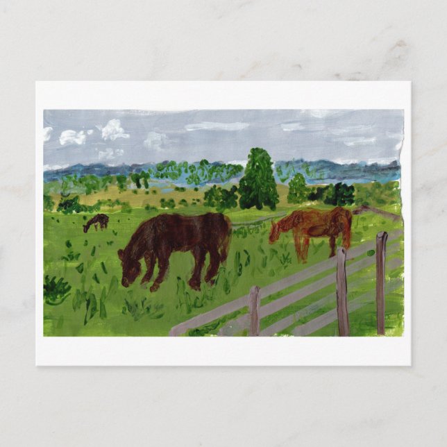 Chevaux dans un joli pâturage carte postale (Devant)