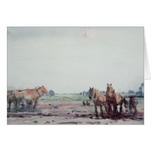 Chevaux de charrue