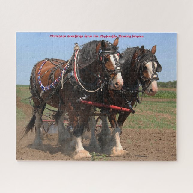 Chevaux de labour Clydesdale. Puzzle (Horizontal)