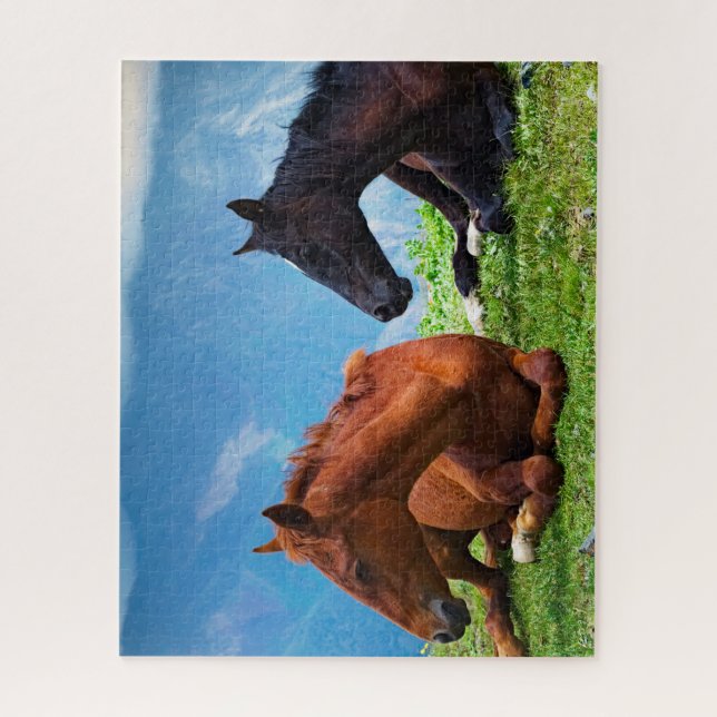 Chevaux de Moody Mountain : Un puzzle de voyage d' (Vertical)