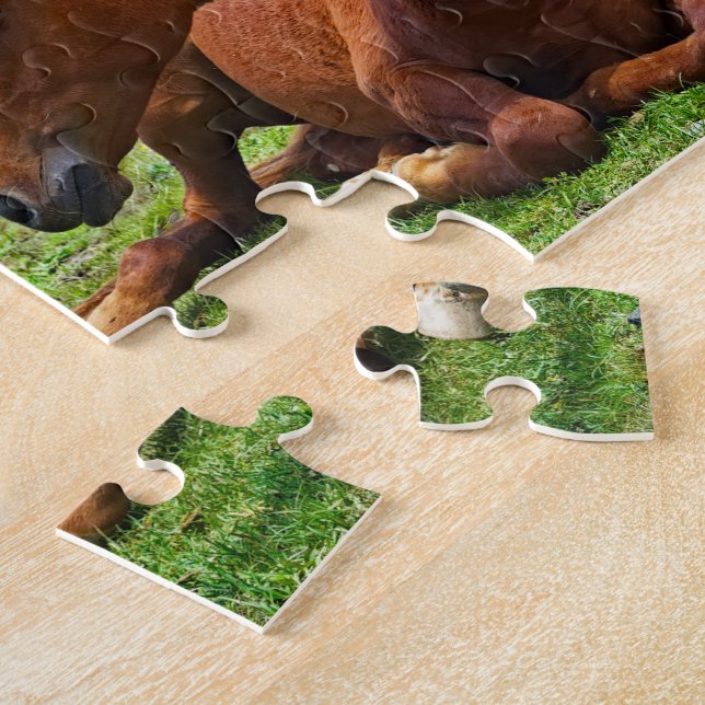Chevaux de Moody Mountain : Un puzzle de voyage d' (Côté)