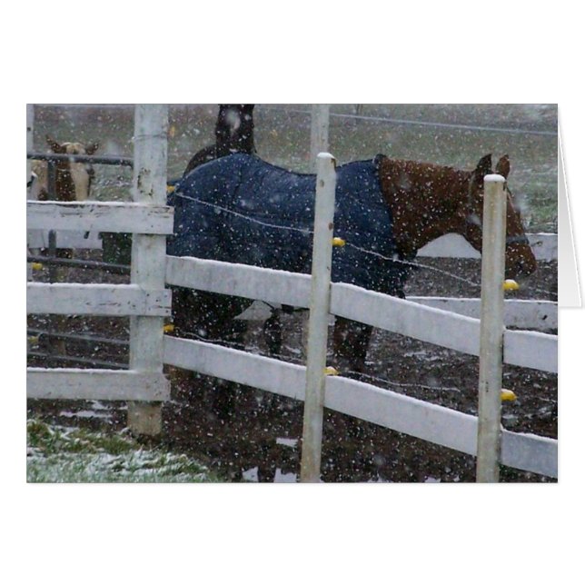 Chevaux de neige (Devant horizontal)