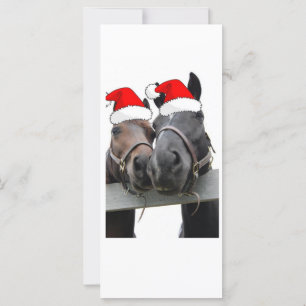Chevaux de Noël