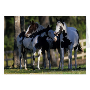 Chevaux de peinture
