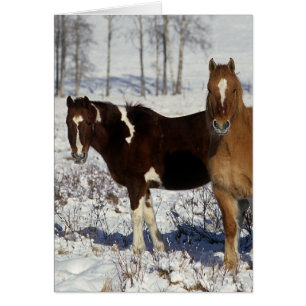 Chevaux de peinture dans la neige