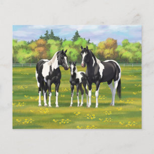 Chevaux De Peinture De Pinto Noir En Pâturage Été