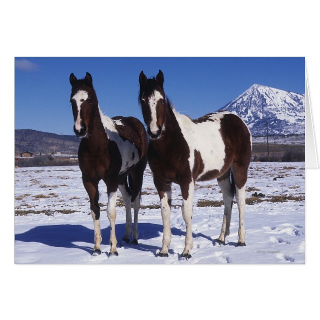 Chevaux de peinture debout dans la neige (Devant horizontal)