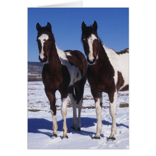 Chevaux de peinture debout dans la neige