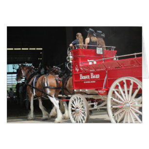 Chevaux de trait dans une foire d'État
