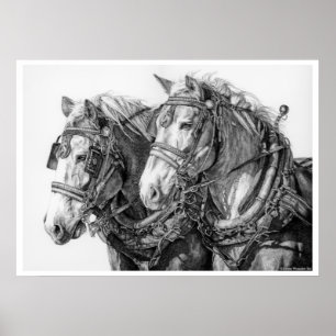 Chevaux de trait enchaînés au monde Affiche de des
