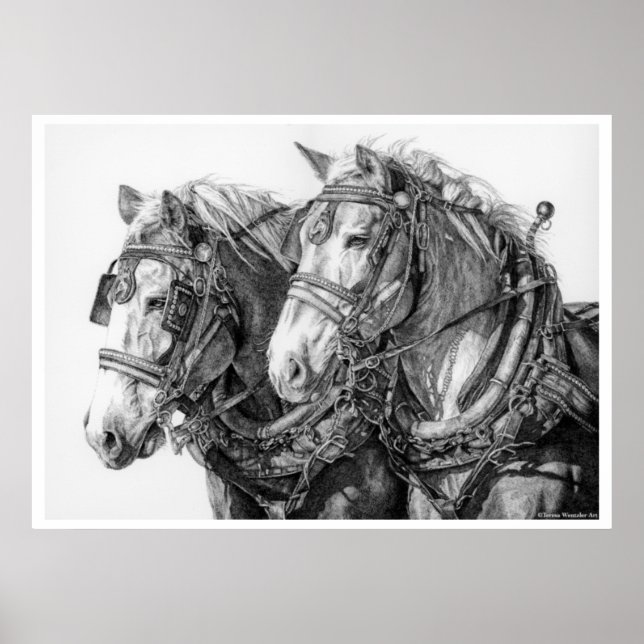 Chevaux de trait enchaînés au monde Affiche de des (Devant)