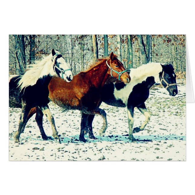 Chevaux d'hiver (Devant horizontal)