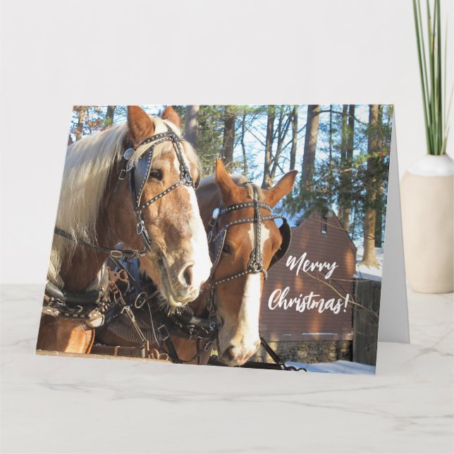 Chevaux d'hiver sur la carte de Noël de Sturbridge (Devant)