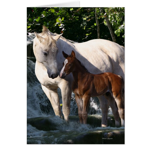 Chevaux d'Imaginaire : Cascade (Devant)