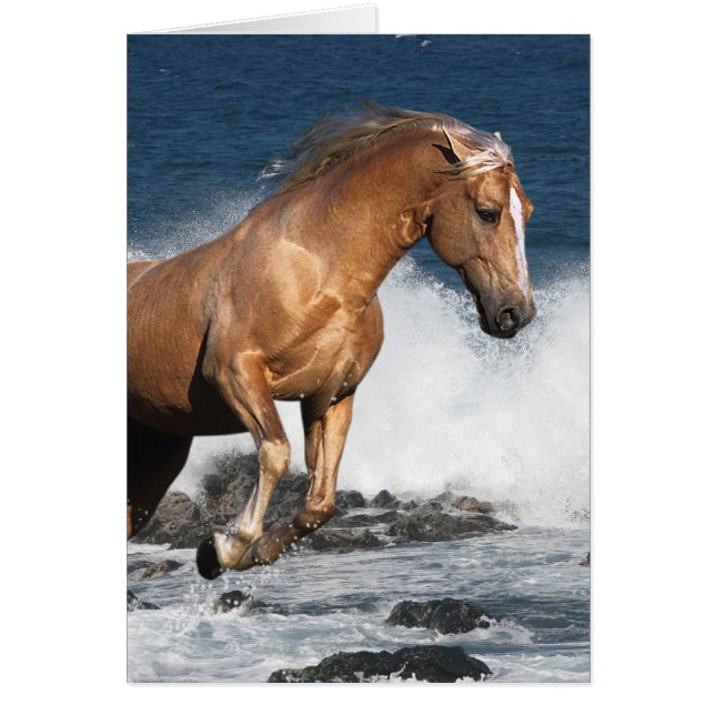 Chevaux d'imaginaire : Éclaboussure d'été (Devant)