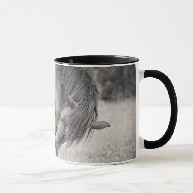 Chevaux embrassant la tasse (Droite)