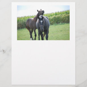 Chevaux en amour