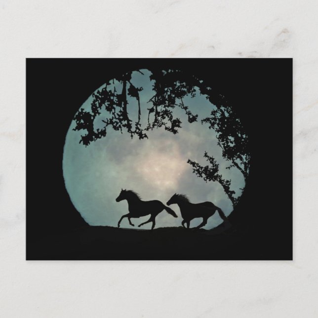 Chevaux en pleine lune Carte postale (Devant)
