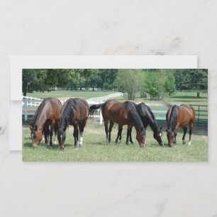 Chevaux en quarts