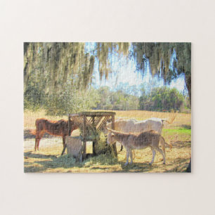 Chevaux et âne - Farm Life Series - Puzzle