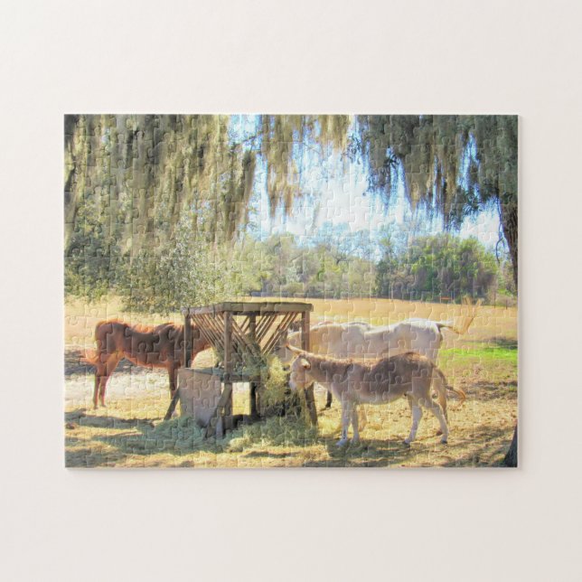 Chevaux et âne - Farm Life Series - Puzzle (Horizontal)