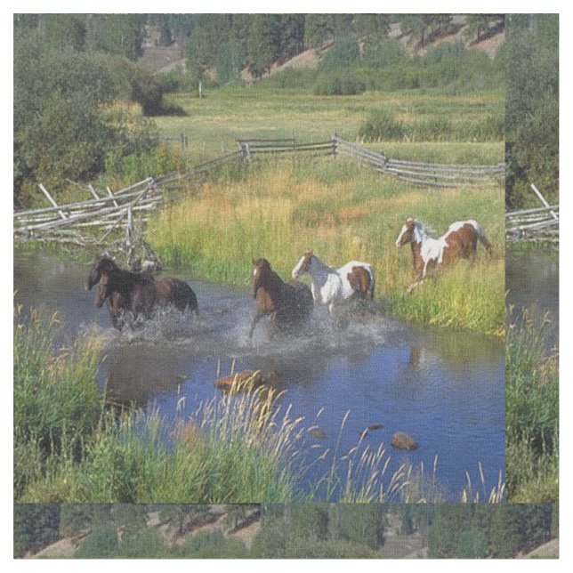 Chevaux fonctionnant par le tissu de l'eau (Fermer)
