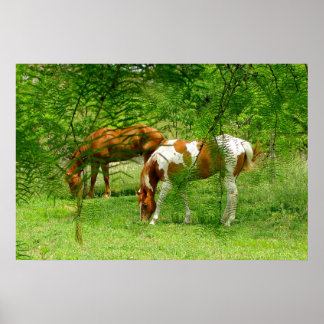 Chevaux Green Feuilles 11 x 85 Poster