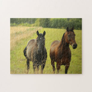 Chevaux Image Shot Jigsaw Puzzle