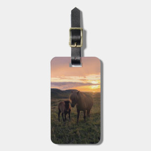 Chevaux islandais - étiquette bagage