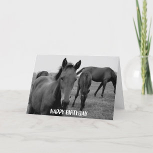 CHEVAUX JEUX anniversaire conception de carte