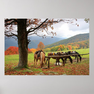 Chevaux, montagnes, affiche d'automne