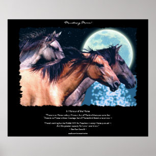 Chevaux Mustang Espagnol Sauvage Poster & Art