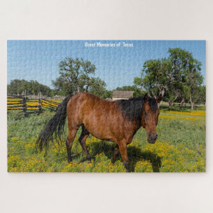 Chevaux Quarter Texas. Puzzle