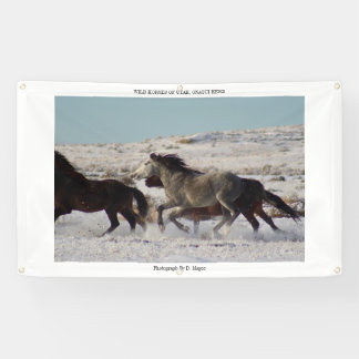 CHEVAUX SAUVAGES bannière de TROUPEAU d'UTAH,