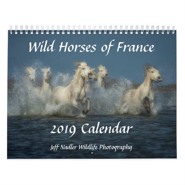 Chevaux sauvages de la France - calendrier mural (Protection)