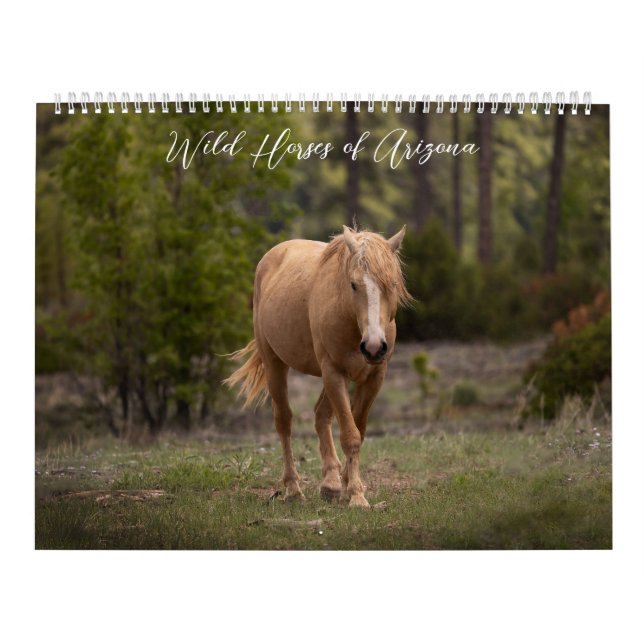 Chevaux sauvages de l'Arizona Calendrier (Protection)