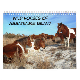 Chevaux Sauvages De L'Île D'Assateague Calendrier