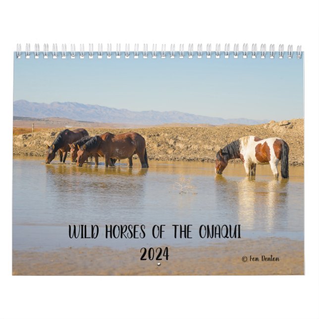 Chevaux sauvages de l'Onaqui - Calendrier 2024 (Protection)