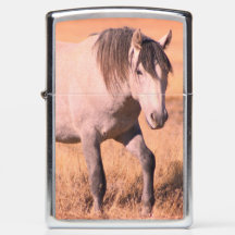 CHEVAUX SAUVAGES DE UTAH ONAQUI HERD Zippo Lighter