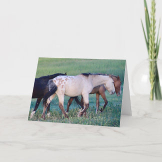 CHEVAUX SAUVAGES DU CARTE POUR NOTES UTAH OURAY